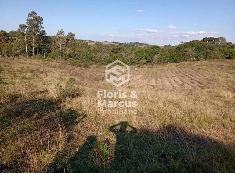 : 4ª foto da galeria de imagens do imóvel