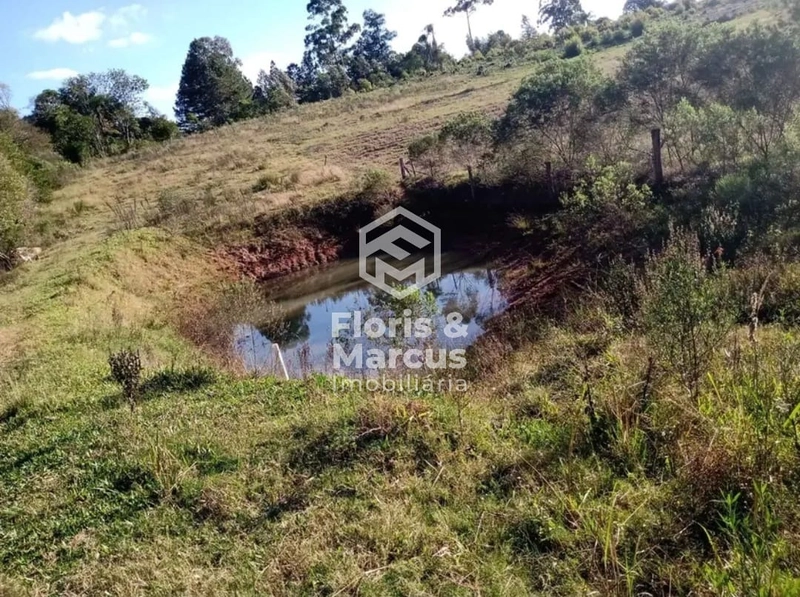 : 5ª foto da galeria de imagens do imóvel