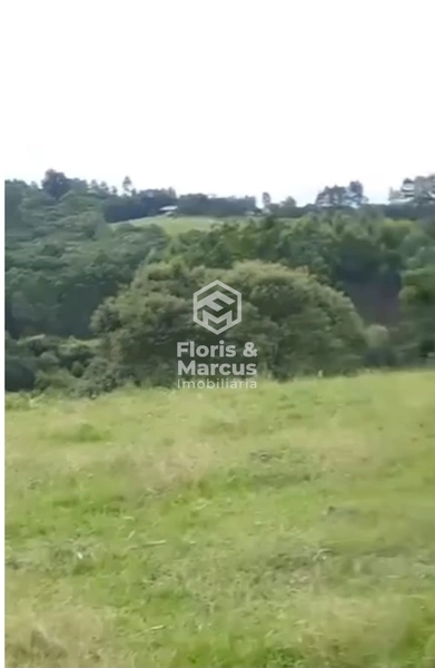 ÁREA RURAL A VENDA: 7ª foto da galeria de imagens do imóvel