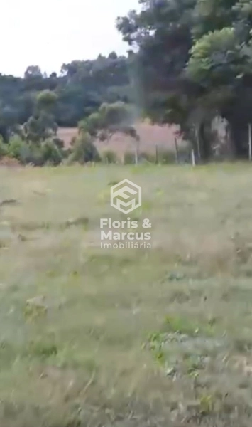 ÁREA RURAL A VENDA: 8ª foto da galeria de imagens do imóvel