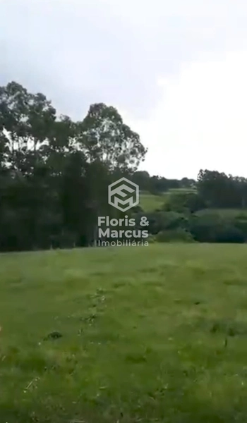 ÁREA RURAL A VENDA: 9ª foto da galeria de imagens do imóvel