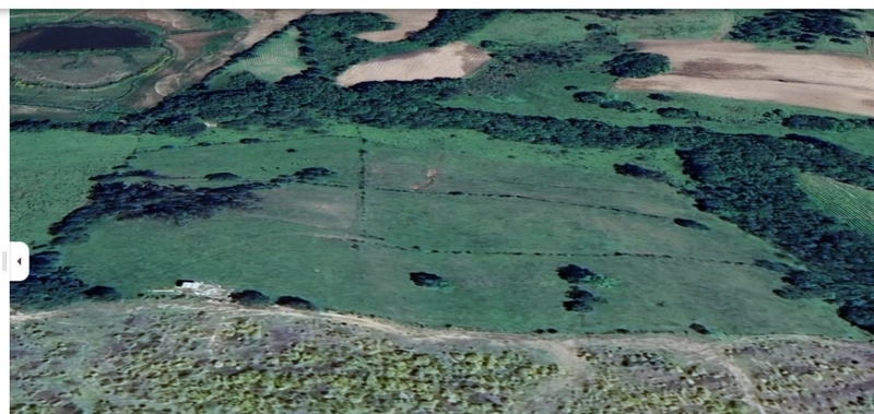 ÁREA RURAL A VENDA: 4ª foto da galeria de imagens do imóvel