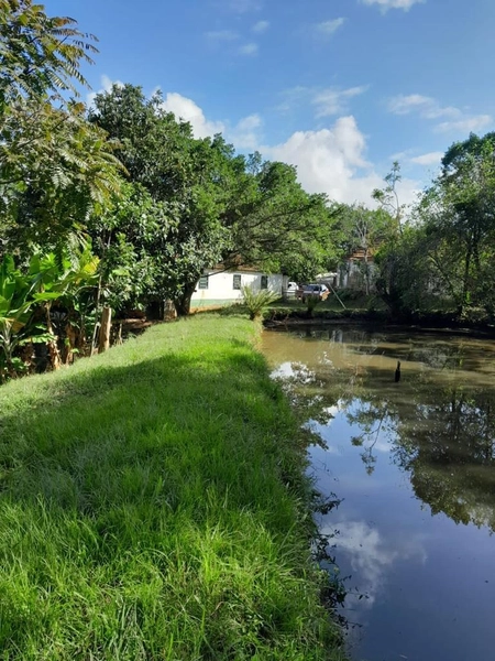 OPORTUNIDADE UNICA!!!: 5ª foto da galeria de imagens do imóvel