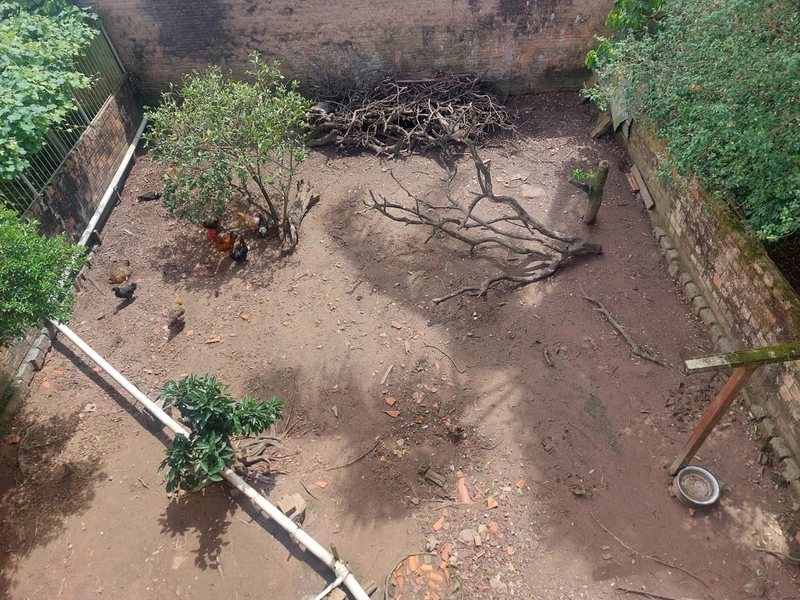 Oportunidade de permuta por Residência em ARAMBARÉ: 25ª foto da galeria de imagens do imóvel
