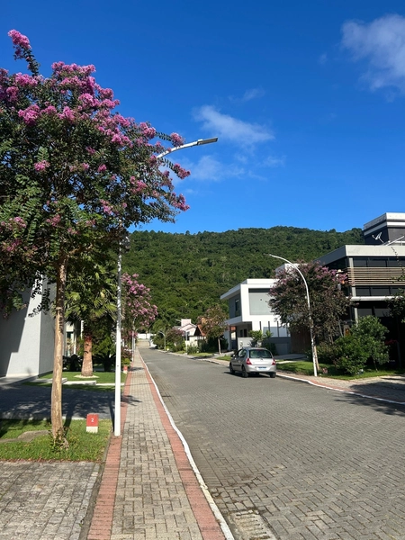 Terreno na Cachoeira do Bom Jesus em condomínio: 18ª foto da galeria de imagens do imóvel