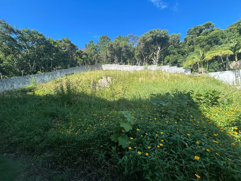 Terreno na Cachoeira do Bom Jesus em condomínio: 4ª foto da galeria de imagens do imóvel