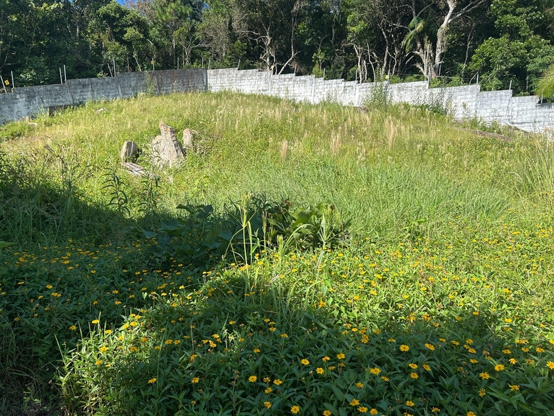 Terreno na Cachoeira do Bom Jesus em condomínio: 3ª foto da galeria de imagens do imóvel