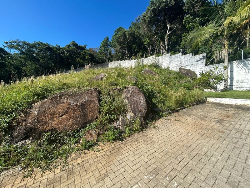 Terreno na Cachoeira do Bom Jesus em condomínio: 12ª foto da galeria de imagens do imóvel