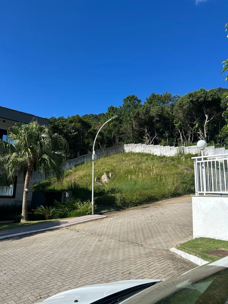 Terreno na Cachoeira do Bom Jesus em condomínio: 16ª foto da galeria de imagens do imóvel