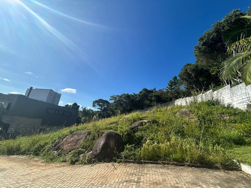 Terreno na Cachoeira do Bom Jesus em condomínio: 8ª foto da galeria de imagens do imóvel