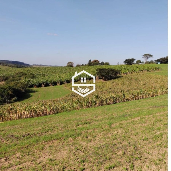 Área Rural para venda em Sentinela do Sul: 3ª foto da galeria de imagens do imóvel