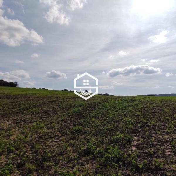 Área Rural para venda em Sentinela do Sul: 4ª foto da galeria de imagens do imóvel