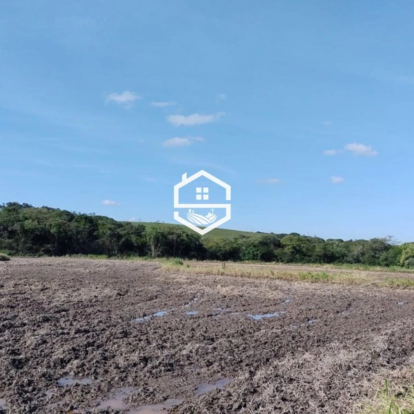 Área Rural para venda em Sentinela do Sul: 6ª foto da galeria de imagens do imóvel