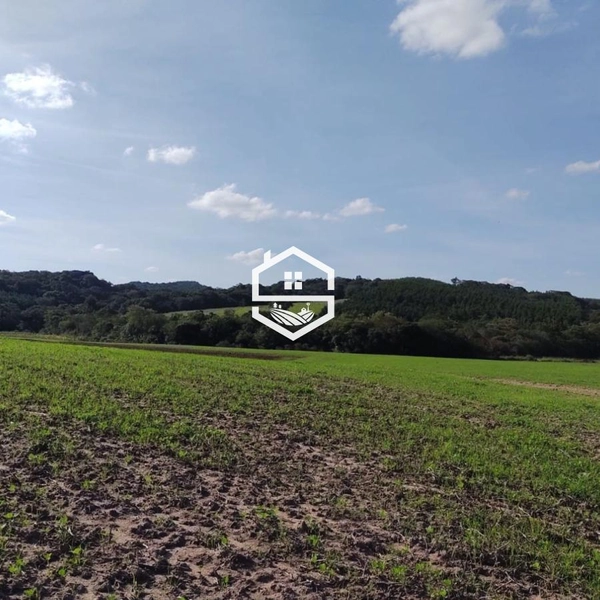 Área Rural para venda em Sentinela do Sul: 7ª foto da galeria de imagens do imóvel