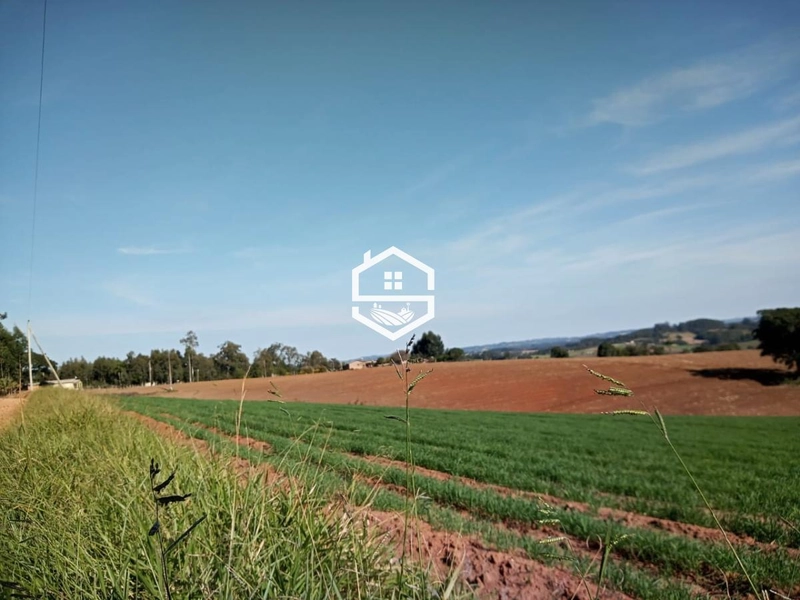 Área Rural para venda em Camaquã: 2ª foto da galeria de imagens do imóvel