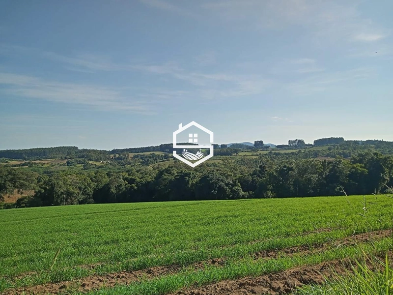 Área Rural para venda em Camaquã: 3ª foto da galeria de imagens do imóvel