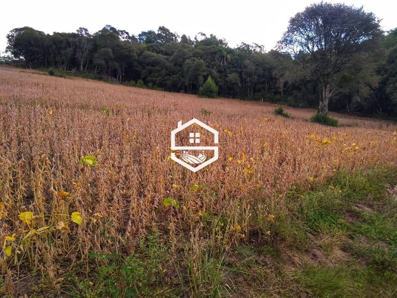 Área Rural para venda em Dom Feliciano: 1ª foto da galeria de imagens do imóvel