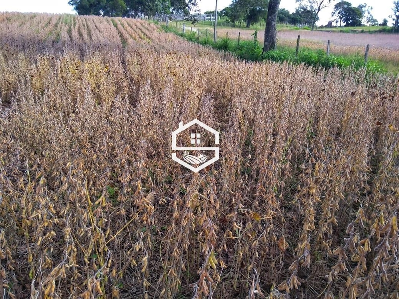 Área Rural para venda em Dom Feliciano: 2ª foto da galeria de imagens do imóvel