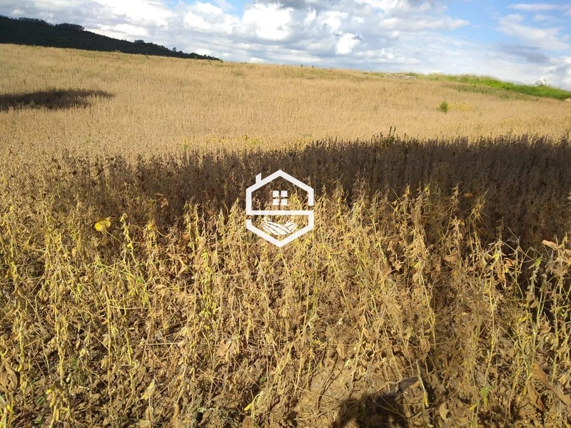 Área Rural para venda em Dom Feliciano: 3ª foto da galeria de imagens do imóvel