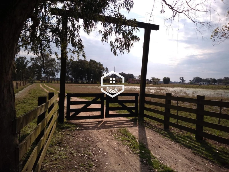 Área Rural para venda em Arambaré: 1ª foto da galeria de imagens do imóvel