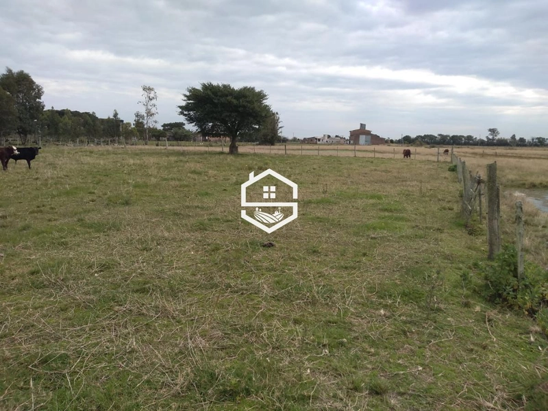Área Rural para venda em Arambaré: 5ª foto da galeria de imagens do imóvel