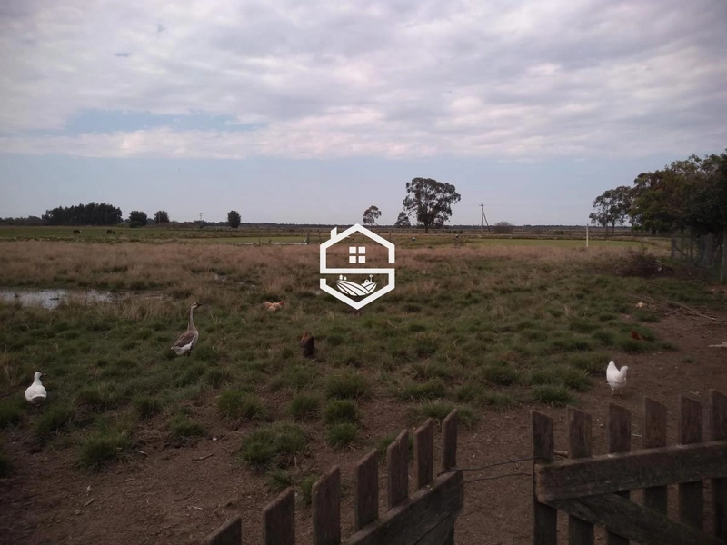 Área Rural para venda em Arambaré: 6ª foto da galeria de imagens do imóvel