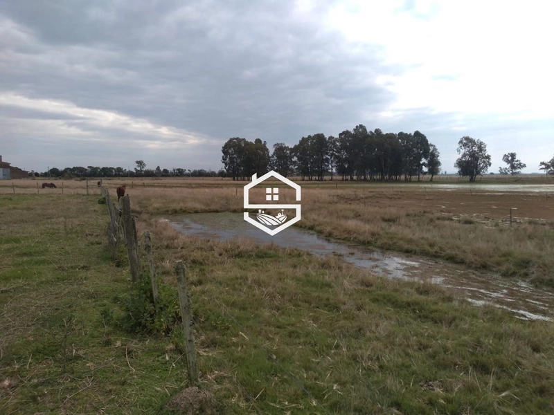 Área Rural para venda em Arambaré: 7ª foto da galeria de imagens do imóvel