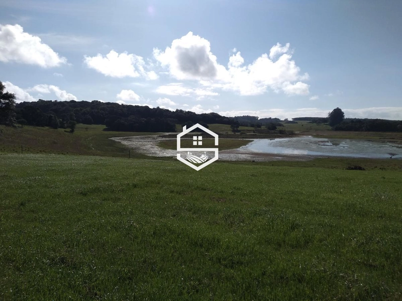 Área Rural para venda em Tapes: 6ª foto da galeria de imagens do imóvel