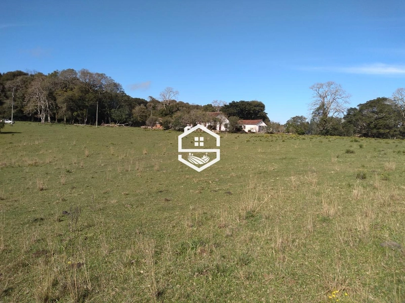 Área Rural para venda em Tapes: 7ª foto da galeria de imagens do imóvel