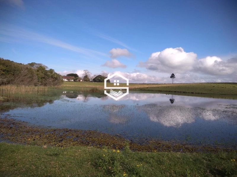 Área Rural para venda em Tapes: 1ª foto da galeria de imagens do imóvel