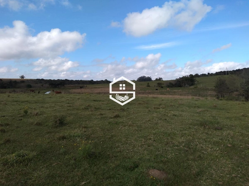 Área Rural para venda em Tapes: 4ª foto da galeria de imagens do imóvel