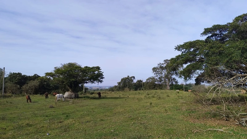 ÁREA PARA LAZER , DENTRO DA CIDADE.: 2ª foto da galeria de imagens do imóvel