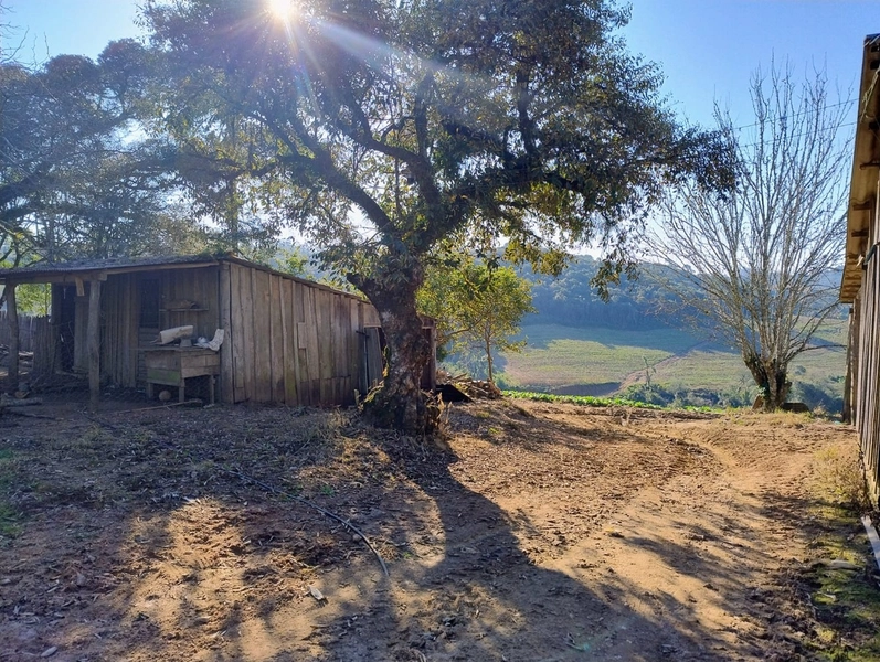 Sítio com Estrutura para produção de Tabaco!: 6ª foto da galeria de imagens do imóvel