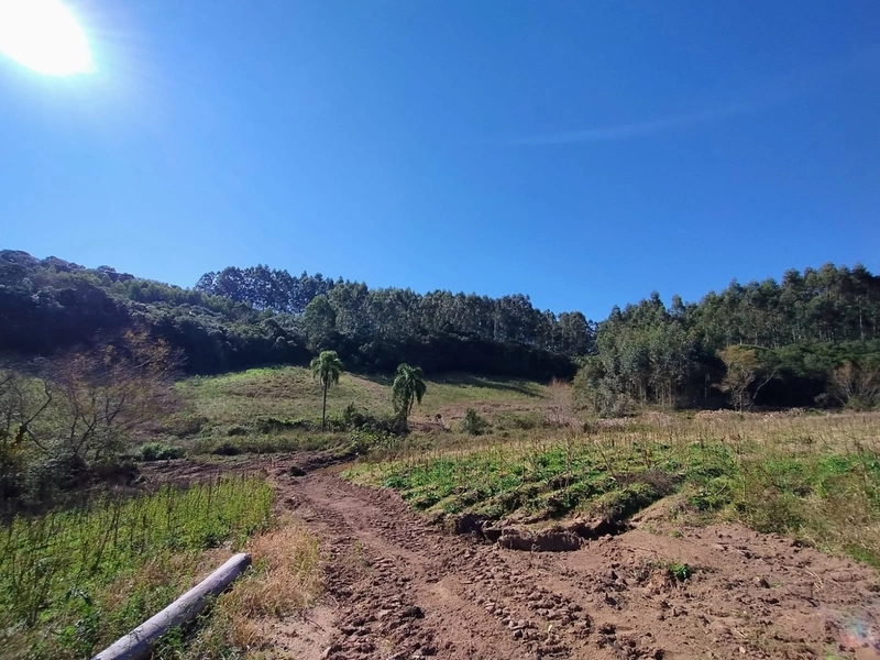 Boa oportunidade para fumicultura no interior da Chuvisca!: 1ª foto da galeria de imagens do imóvel