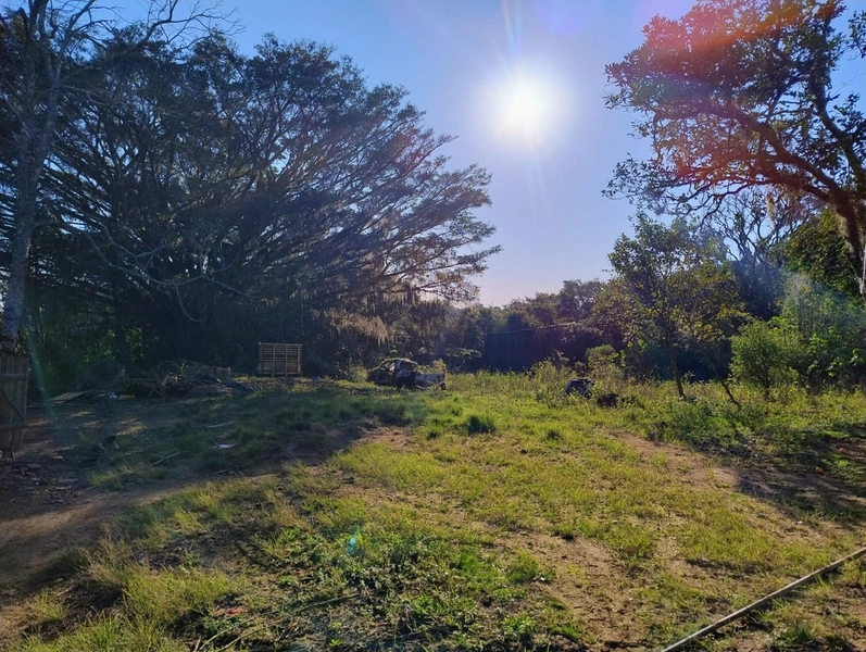 Área as margens da ERS-350.: 1ª foto da galeria de imagens do imóvel