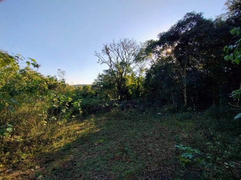 Área as margens da ERS-350.: 4ª foto da galeria de imagens do imóvel