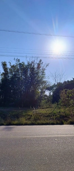 Área as margens da ERS-350.: 2ª foto da galeria de imagens do imóvel