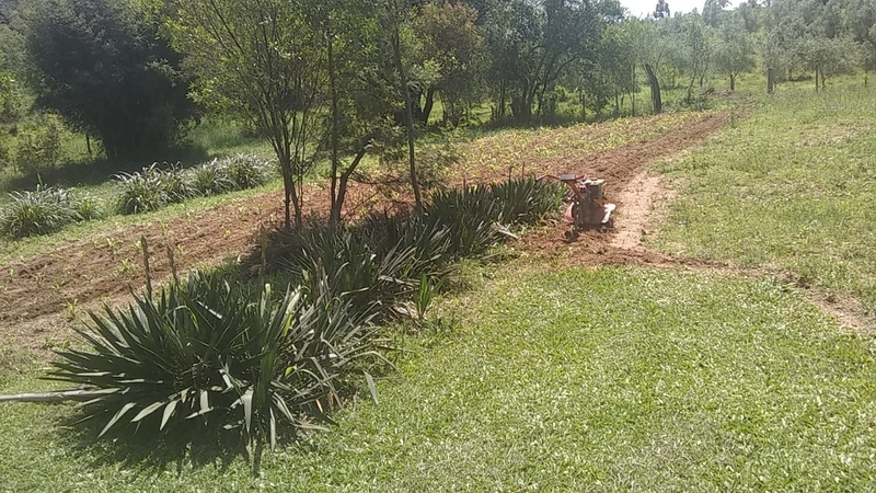 Chácara á 10km da cidade.: 9ª foto da galeria de imagens do imóvel