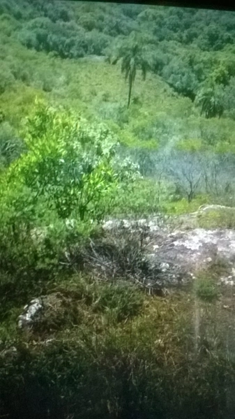 Fazenda em Caçapava 17km do asfalto.: 3ª foto da galeria de imagens do imóvel
