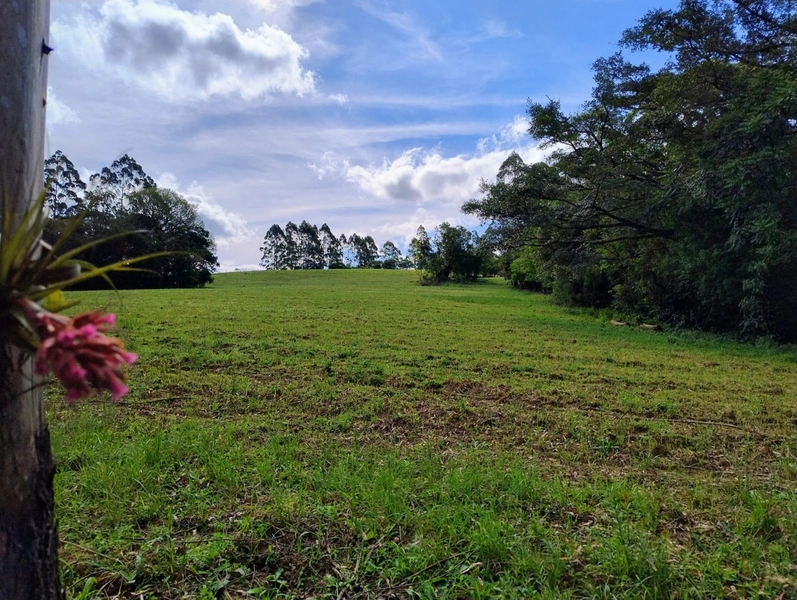 RARIDADE! 13ha, PORTEIRA FECHADA!: 29ª foto da galeria de imagens do imóvel