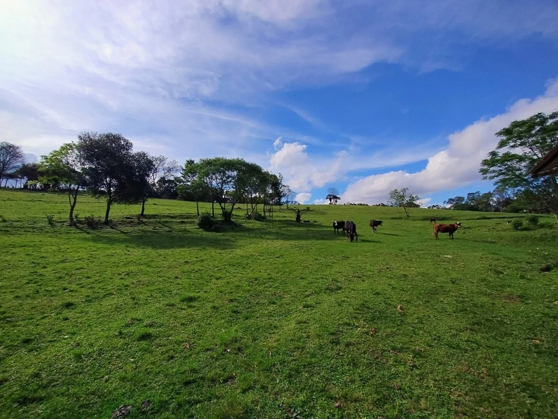 RARIDADE! 13ha, PORTEIRA FECHADA!: 34ª foto da galeria de imagens do imóvel