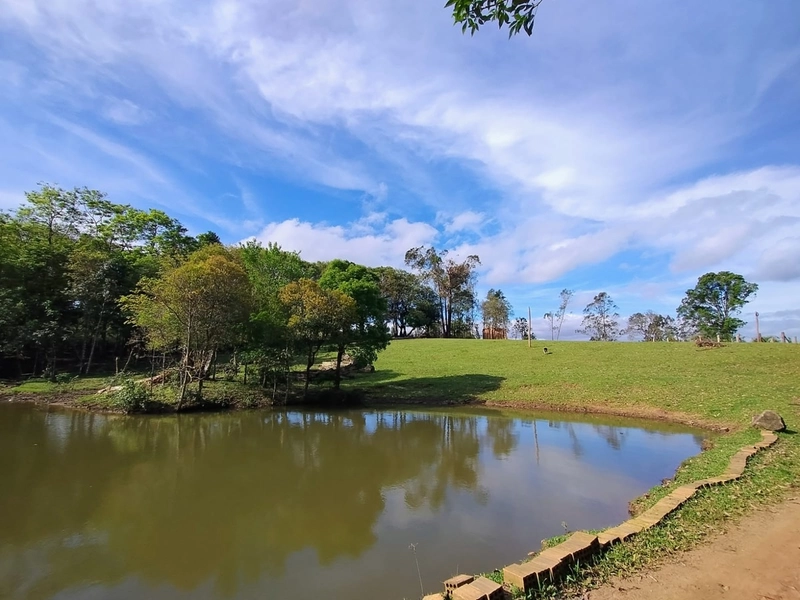 RARIDADE! 13ha, PORTEIRA FECHADA!: 35ª foto da galeria de imagens do imóvel
