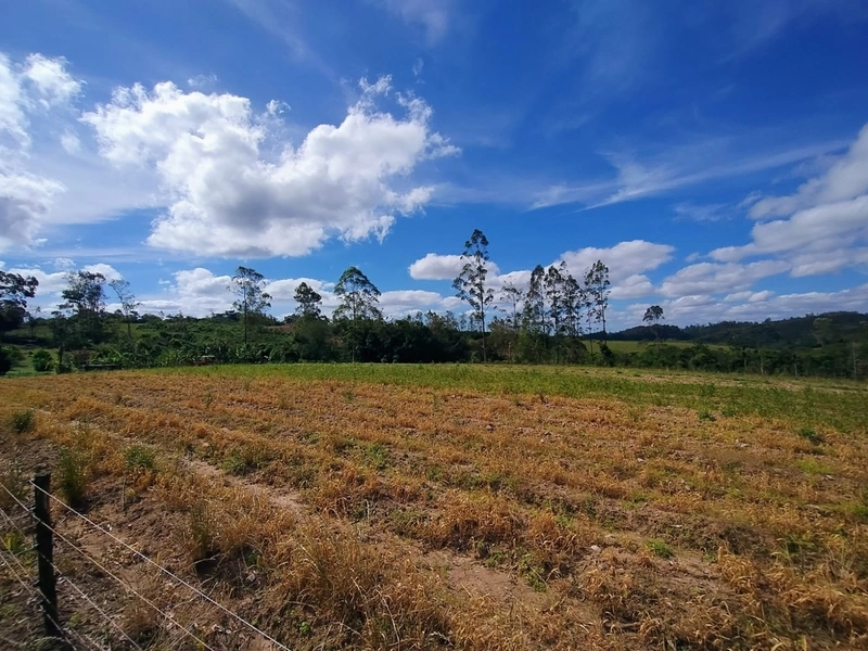 RARIDADE! 13ha, PORTEIRA FECHADA!: 22ª foto da galeria de imagens do imóvel