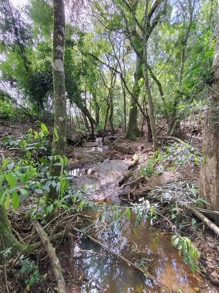RARIDADE! 13ha, PORTEIRA FECHADA!: 28ª foto da galeria de imagens do imóvel