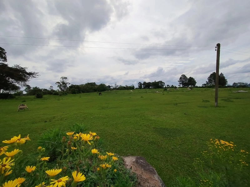 16,68ha em Santa Isabel.: 9ª foto da galeria de imagens do imóvel