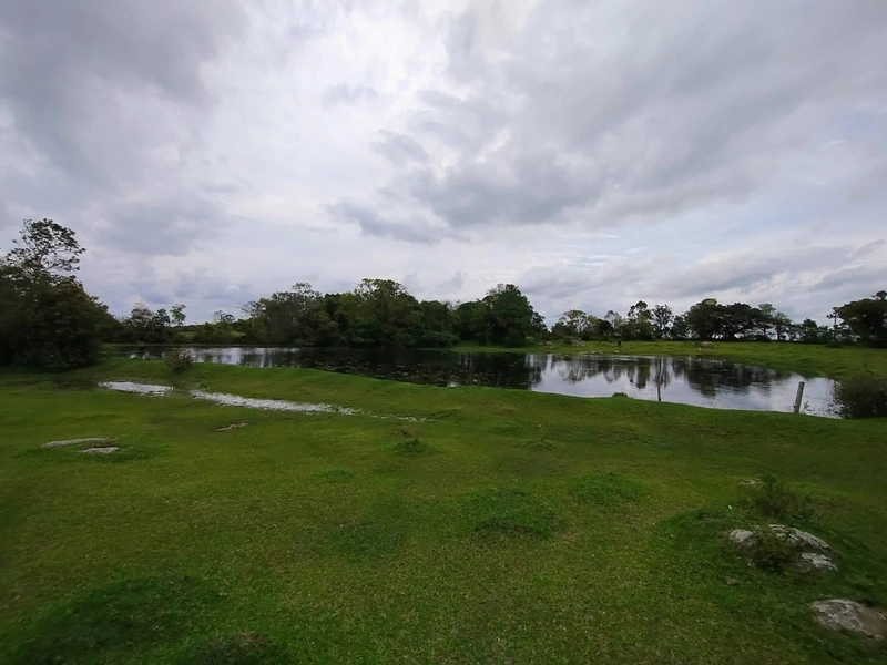 16,68ha em Santa Isabel.: 7ª foto da galeria de imagens do imóvel
