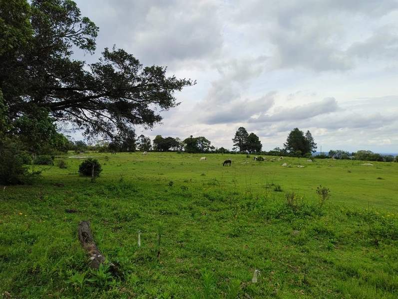 16,68ha em Santa Isabel.: 3ª foto da galeria de imagens do imóvel