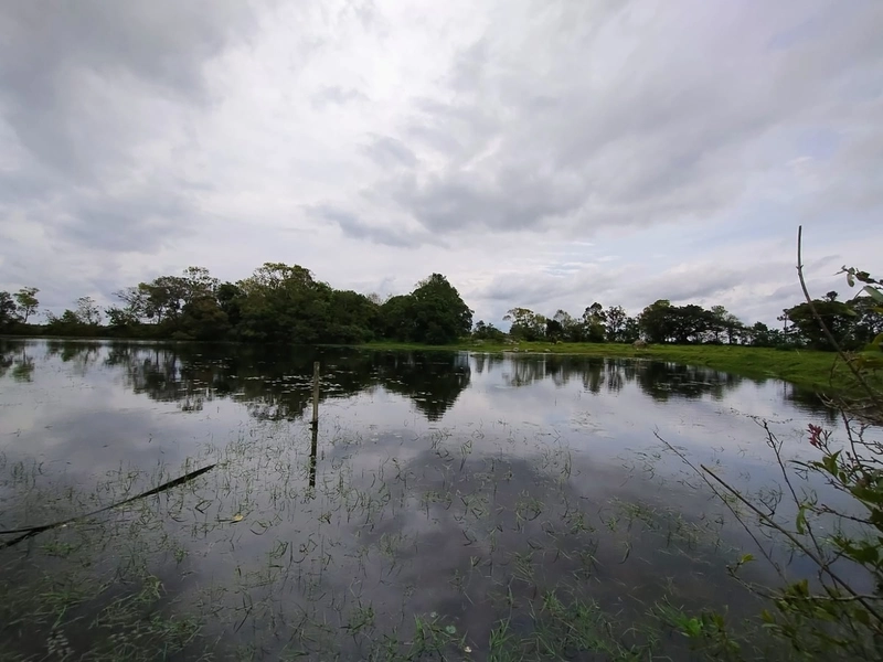 16,68ha em Santa Isabel.: 8ª foto da galeria de imagens do imóvel
