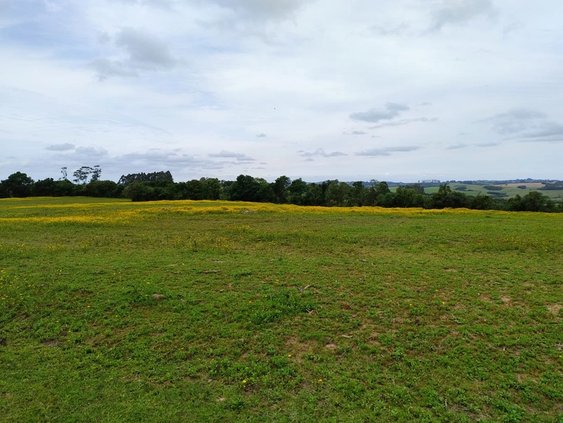 16,68ha em Santa Isabel.: 11ª foto da galeria de imagens do imóvel