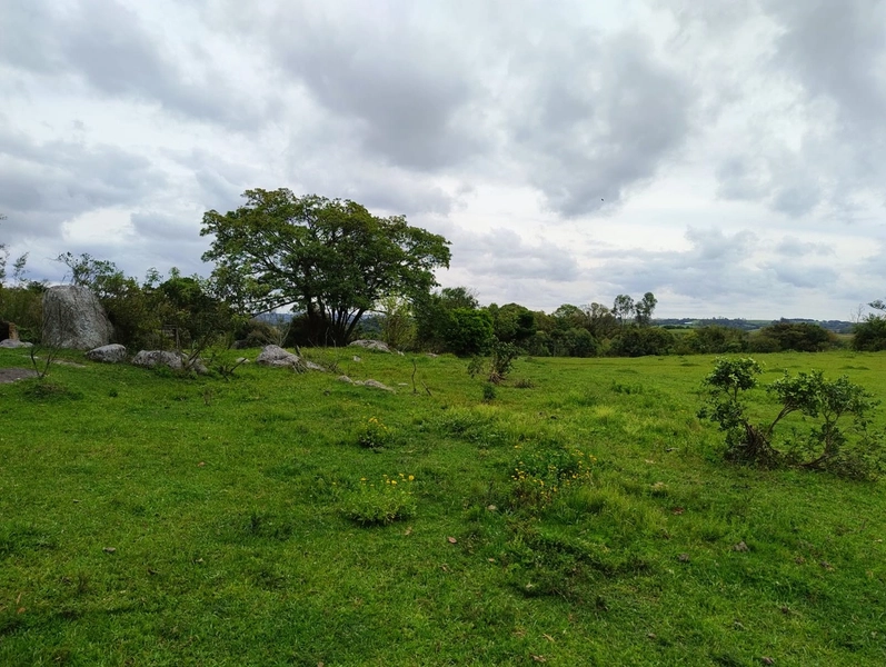 16,68ha em Santa Isabel.: 6ª foto da galeria de imagens do imóvel